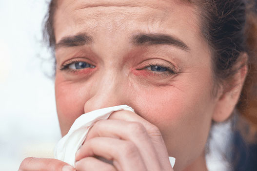 A woman blows her nose as she suffers from severe allergy symptoms.